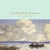 Gesammelte Gedichte von W B Yeats Hardcover Buch 9781909621640