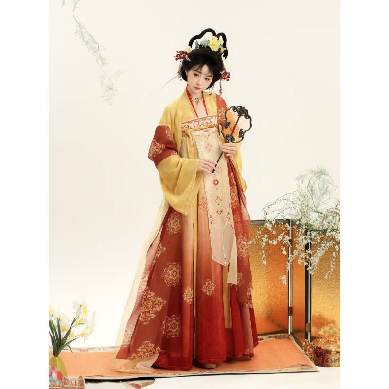 Womens Tang Dynasty Style Hanfu Set With Embroidered Peasant Skirt Chiffon Top Sash Fall Winter Wear