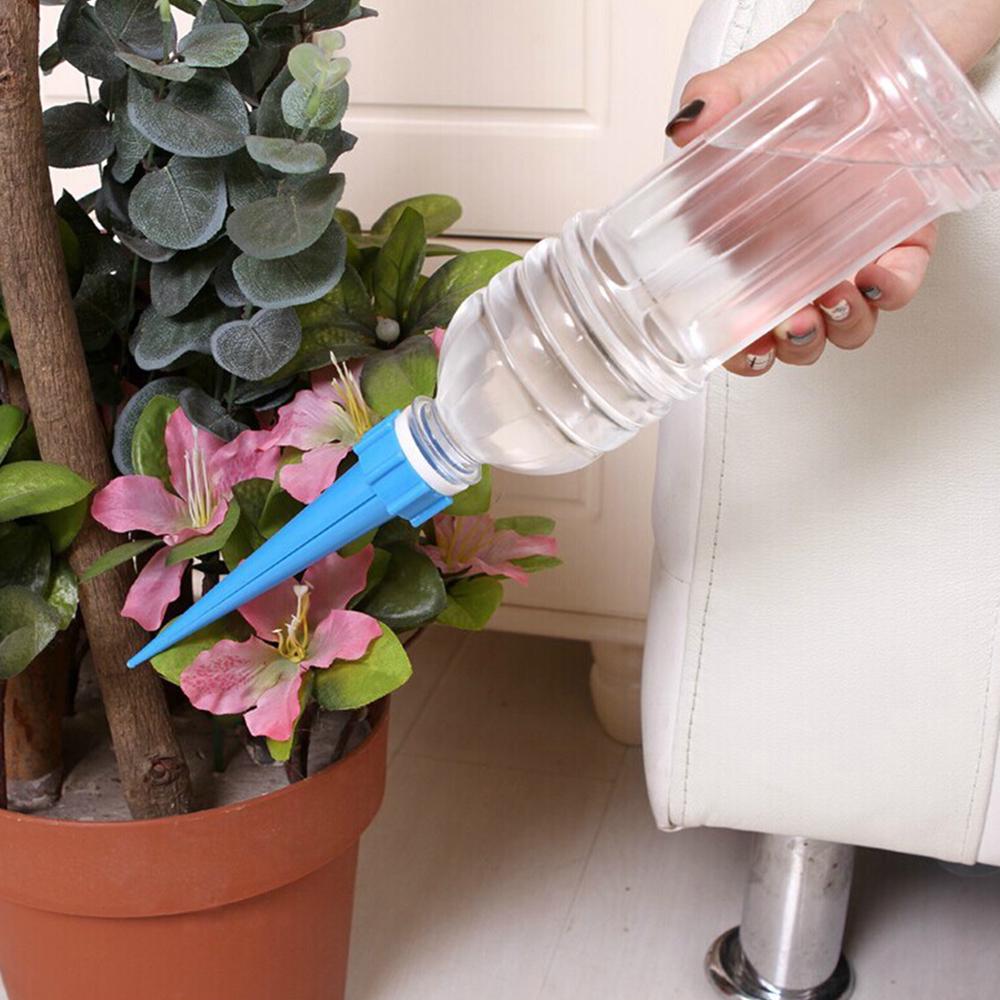 Комнатные растения в интерьере