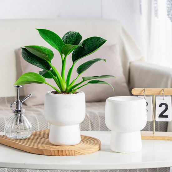 Self-absorbing Flowerpot with Cotton Rope Planter Double-layer Breathable Structure And Water Storage Tank Flower Pot for Indoor Plants