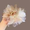 Elegant Women's Mesh Scrunchie Hair Tie - Luxurious High-End Hair Accessory