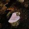 Heart-Shaped Rose Quartz Jade Facial Scraping Board