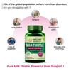 Vlado's Himalayan Organics Milk Thistle Extract 800mg 120 Vegetarian Capsules Liver Detox Support for Men and Women