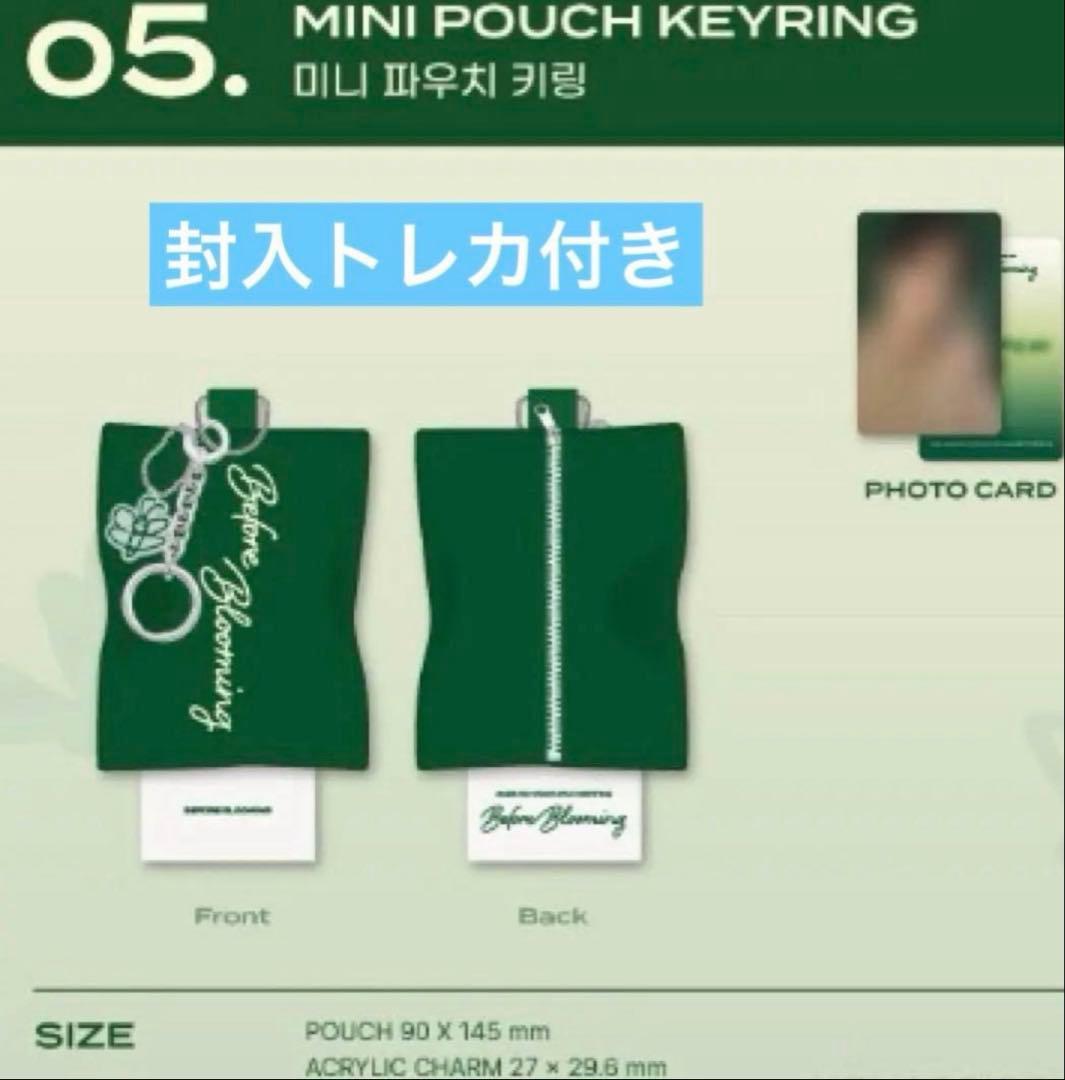 [USED] ROWOON (Rowoon) South Korea Seoul Fan Meeting Official Mini Pouch Keyring