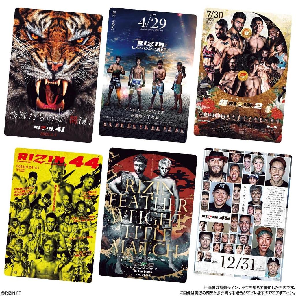 Bandai RIZIN Potato Stick Poster Card Collection Box Candy Toy 20-Piece