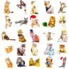 50 Realistic Cat Stickers New Cute Cat Cartoon Graffiti Stickers Notebooks Palette Box Stickers