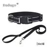 Reflective Pet Collar & Leash Set for Medium & Large Dogs and Cats