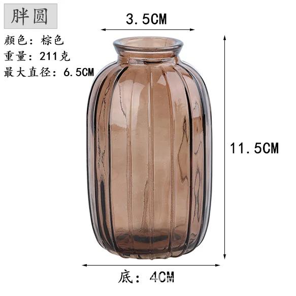 Decorative Flower Bottle Nordic Glass Vase Transparent Bud Vase Designed Hydroponic Plant Pot Living Room Decor Table Ornaments