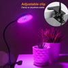 Luz de Planta Temporizada com Controle Remoto USB Impermeável Espectro Completo LED para Crescimento de Plantas Suculentas e Mudas