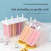 ZISIZ DIY Popsicle Mold Set