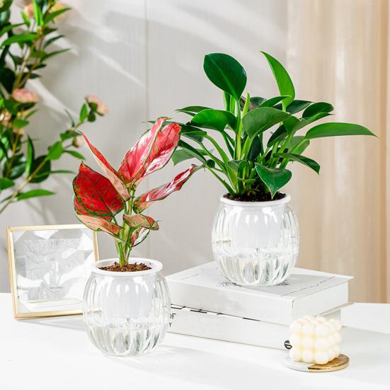 Yousheng Plastic Flowerpot Self-Watering Planter Weather-Resistant UV Protection Automatic Watering System Plant Pot