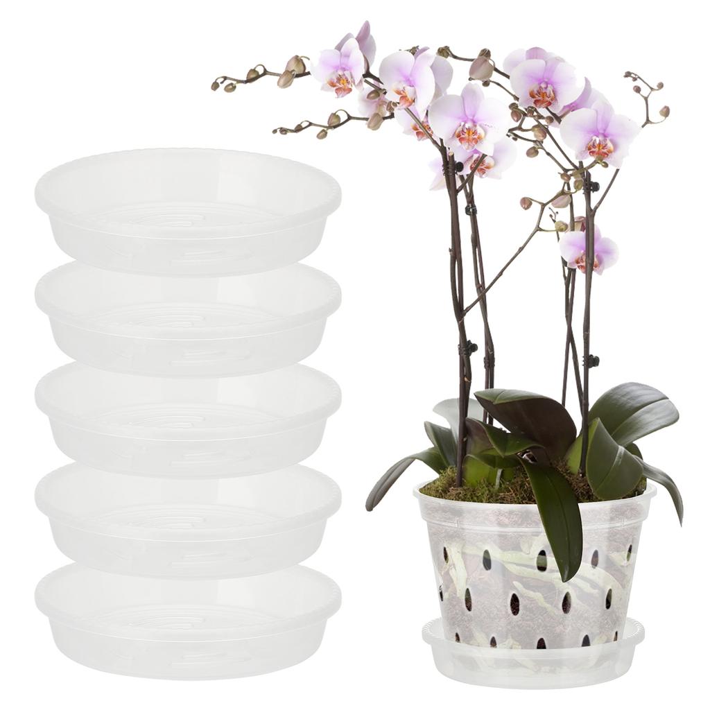 Orchid Pots with Holes Breathable Clear Plastic Orchid Planter Plant Pot for Indoor Outdoor Garden