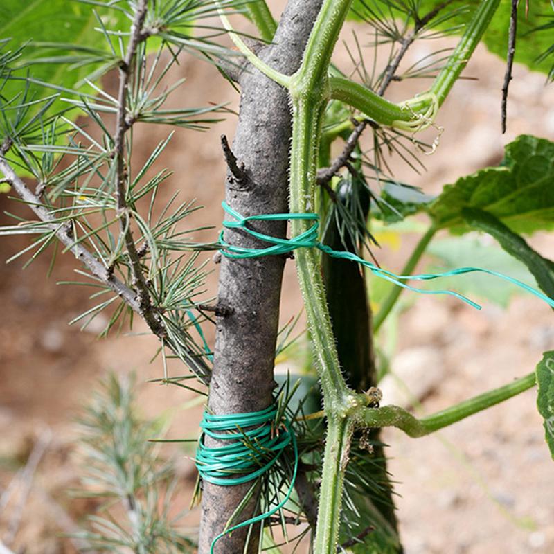 100M zahradní flexibilní vázací drát na rostlinné úvazy, železné dráty, podpora pevných popínavých rostlin, liána, stabilizační úvaz na zeleninu
