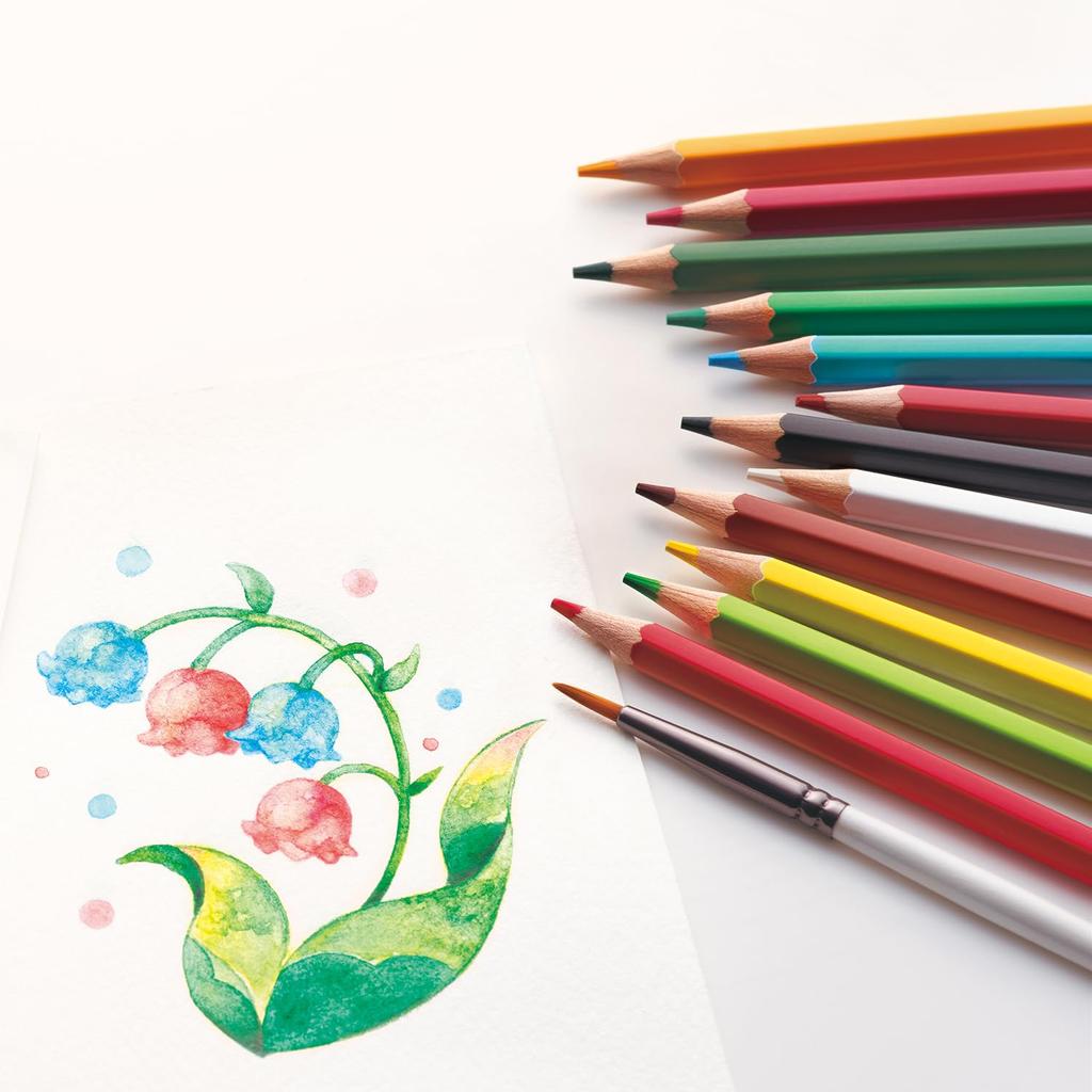 Shachihata Artline Watercolor 24 with Watercolor Pencils, Colors, Brush, KCP-W24C/H
