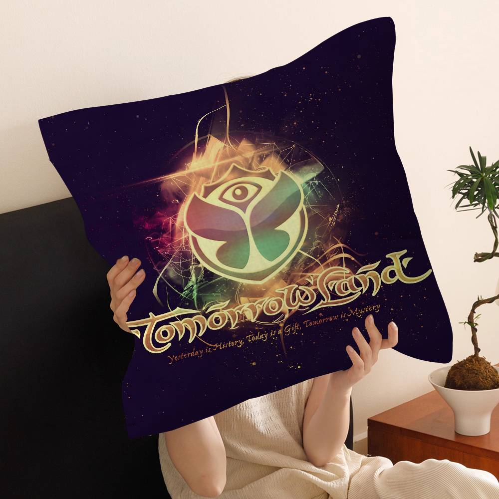 TOMORROWLAND Music Lucky Dragon pillow cover sofa cushion cover home room decoration children gift