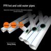 Zheng Qixing LX PPR Warm-/Kaltwasserversorgungsrohr