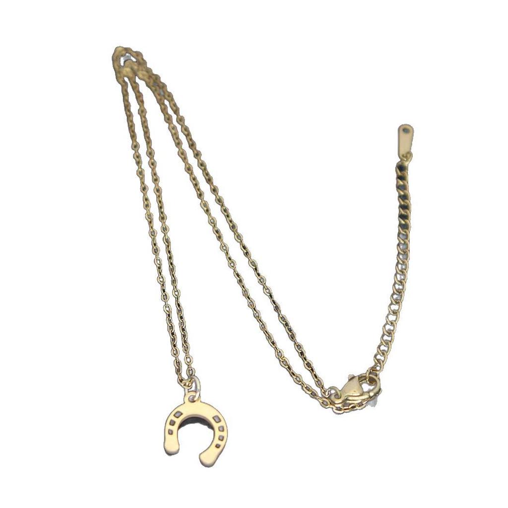 Elegantní náhrdelník s přívěskem podkovy pro ženy - Nerezová ocelový klíční kostní řetízek
