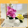 Phalaenopsis Artificial Potted Plant Silk Fabric Material Props Photography