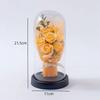 Creative Gifts Soap Rose Home Ornament Luminous Glass Cover Valentine's Day Christmas Decoration Gifts