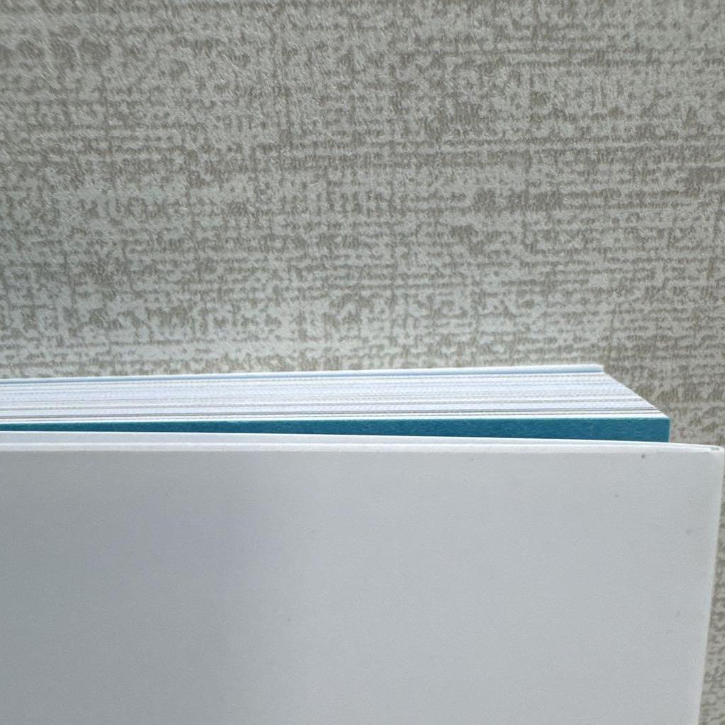 [USED] Sakura Hanabusa Wood Carving Collection 2014-2023 Every Day Is Cat Day