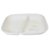 Mario Craft Snoopy PET Square One Plate STUDY Peanuts (Mc.) [Medium Plate] /