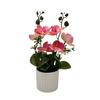 Multicolor Moth Orchid Artificial Flower Accessories White Flowerpot Faux Moth Orchid Potted Photo Props Plastic