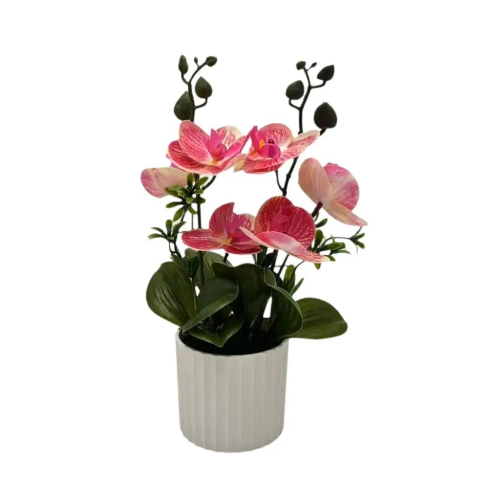 Multicolor Moth Orchid Artificial Flower Accessories White Flowerpot Faux Moth Orchid Potted Photo Props Plastic