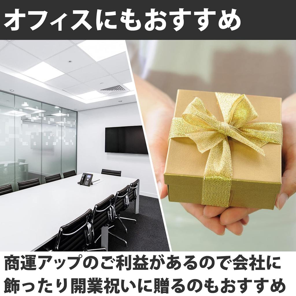 Felimoa Feng Shui Štěstí Zvěrokruh Rozptýlit Strážce Interiérová Sada 2 Ornament, Tygr, Drak, Kouzlo, Znamení, Zlo, Amulet, Bestie,