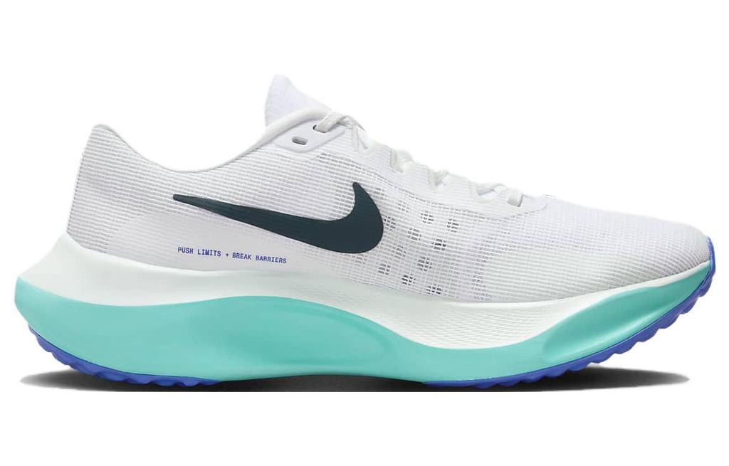 Nike Zoom Fly 5 "White Barely Green" DM8968-302
