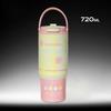 Leakproof Double Insulated Stainless Steel Tumbler with Handle BPA-Free Water Bottle for Outdoor Travel