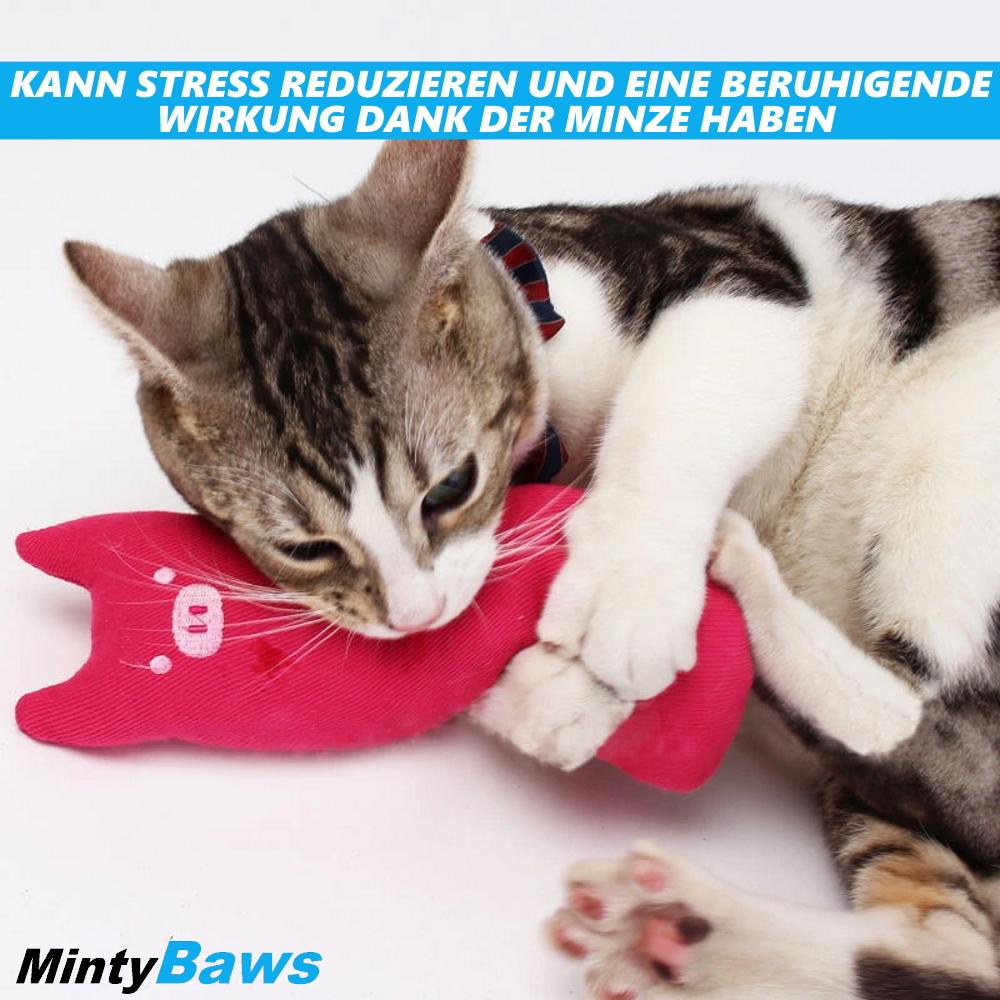 MintyBaws Catnip Pillow Cat Toys Cat Activity Mint Set of 5