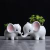 Dropshipping Succulent Pots Elephant Flower Pots Ceramic Succulent Planter Plant Window Boxes for Indoor Outdoor Cactus