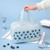 Aluminium Foil Fruit Printed Lunch Bag Leak-Proof Food Storage Pouch Insulated Cooler Bag  School