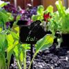 Waterproof Metal Seed Labels: Durable Garden Tags for Seedlings & Pots. Outdoor Decor.Durable for Pots & Vegetables.