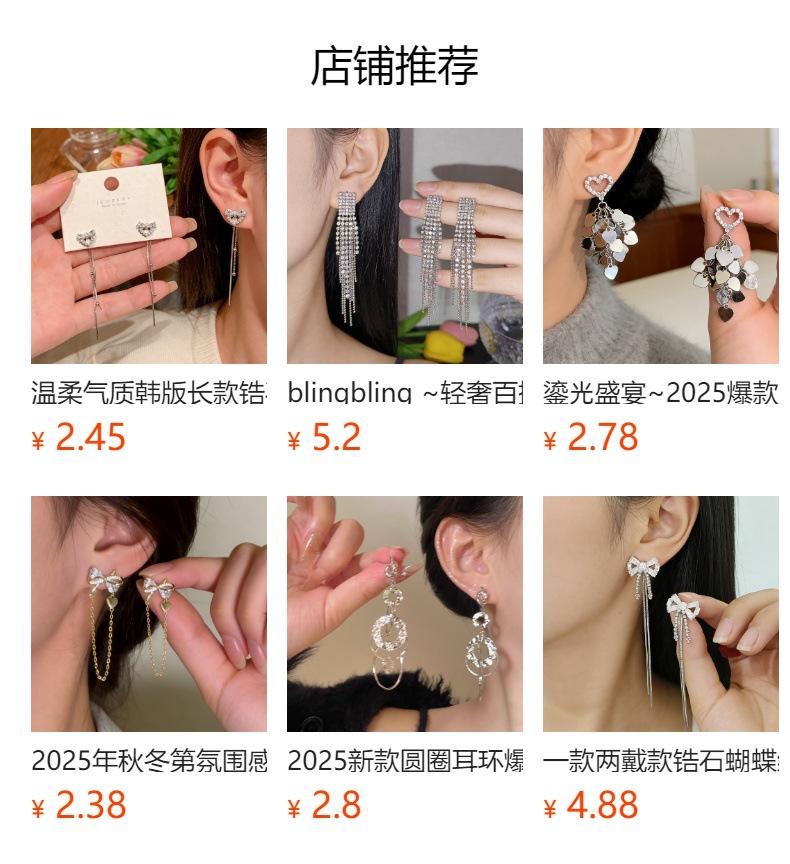 Long Tassel Earrings Cold Wind Niche High-End Earrings Personality Trend Exaggerated Earrings