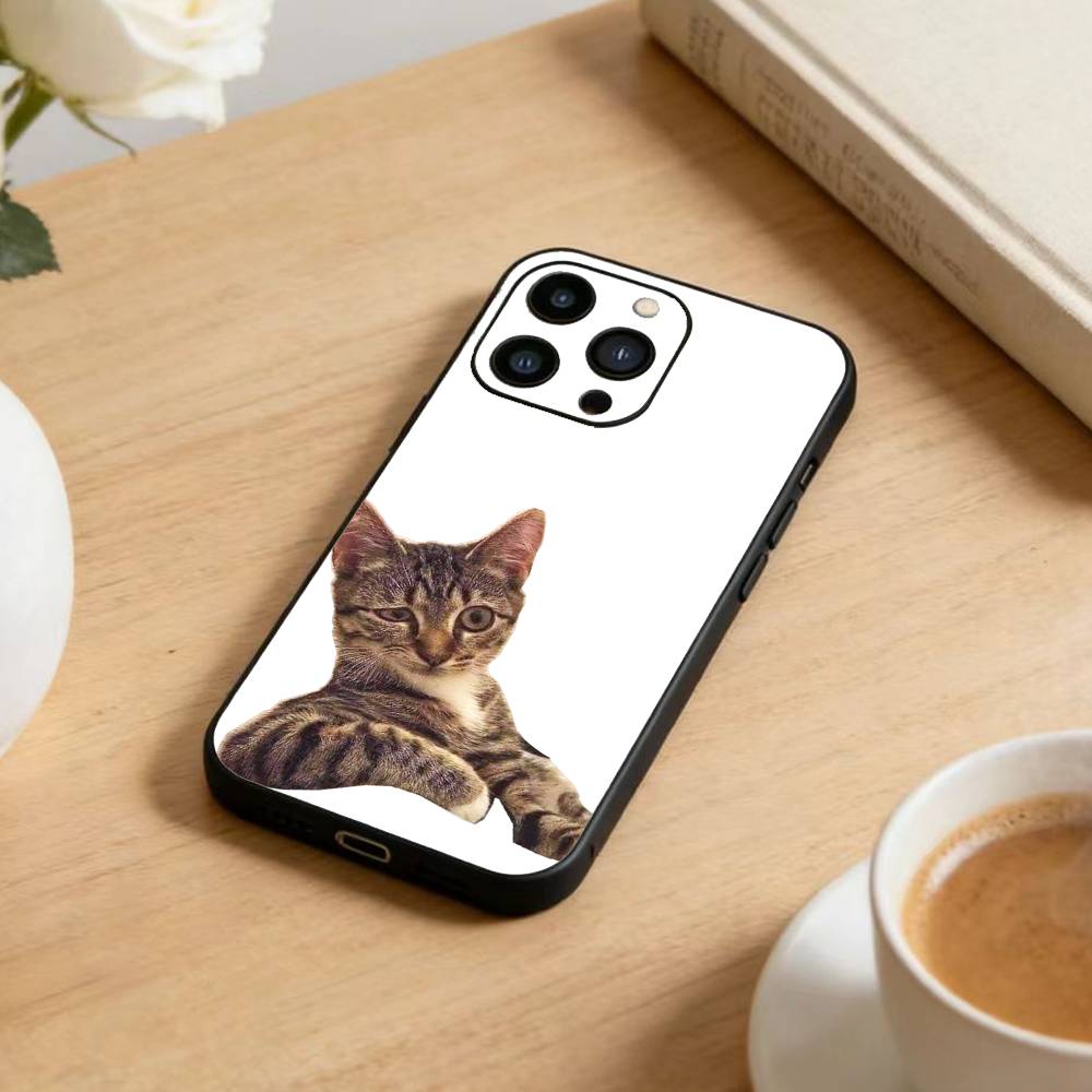 Big-eyed Goofy CAT Silly Phone Case For iPhone17,16,15,14,13,12 Plus,Max Soft Silicone Black Cover iPhone13PROMAX