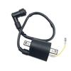 Ignition Coil For Buyang Feishen Linhai 260 260cc 300cc D300 G300 H300  ATV Quad Parts