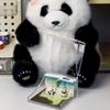 3D Creative Panda Model Notepad Loose Leaf Office Memo Pad Paper Art Gift Craft