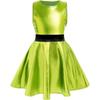 Girls Metallic Party Dress Sleeveless Round Neck A Line Design Contrast Waist Invisible Zipper Halloween Outfit