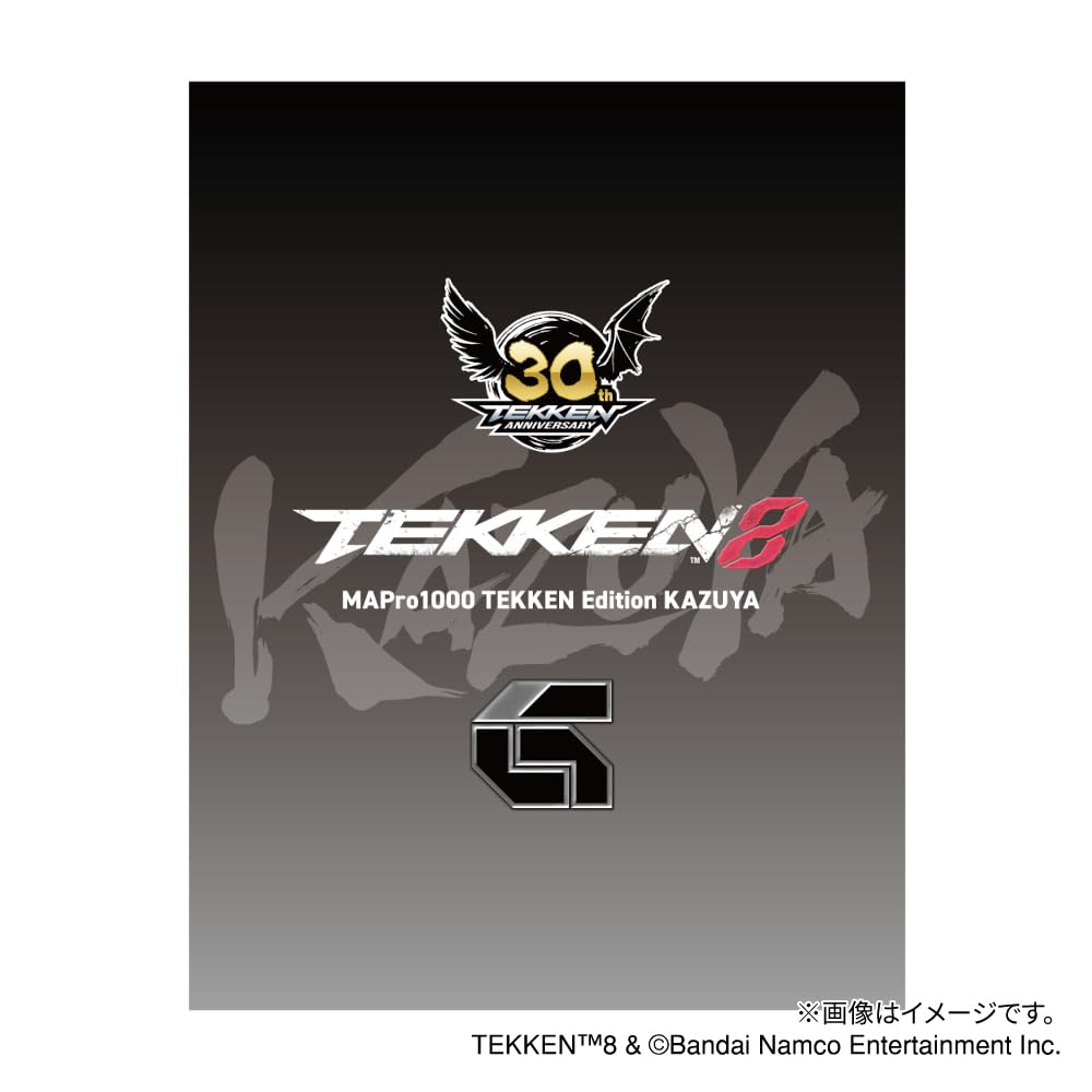 Maestraudio MAPro1000 TEKKEN Edition KAZUYA collaboration limited production type wired earphones with 10mm dynamic driver Sound tune for fighting