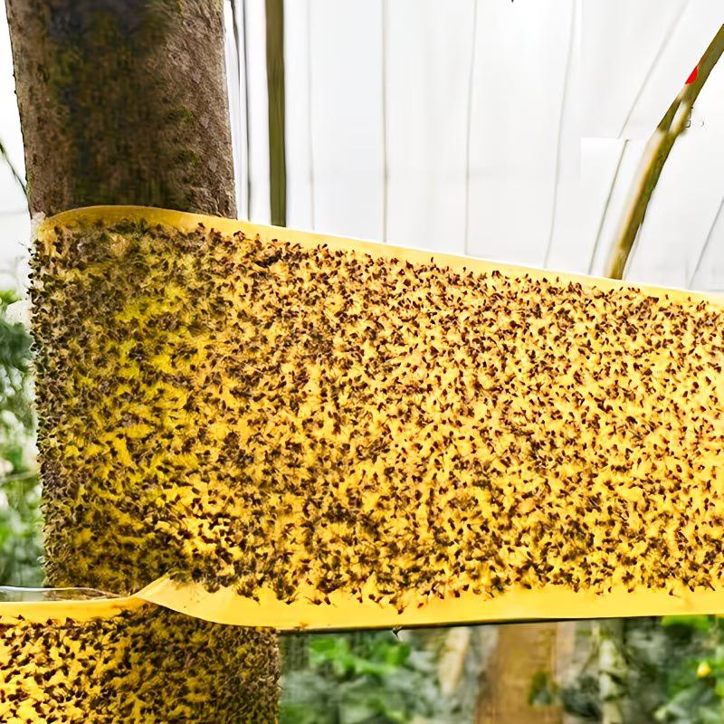 Selbstklebendes Insektenschutzband - Doppelseitiges Outdoor-Schädlingsbekämpfungsband, Langlebige Haftung Wirksam Gegen Ameisen, Mehlwürmer, Motten, Fliegen,