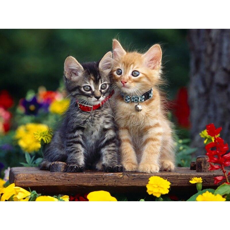 

DIY 5D алмазная живопись кошка домашнее животное Алмазная мозаика наборы крестиков украшение дома полная круглая алмазная вышивка Square 20x30cm