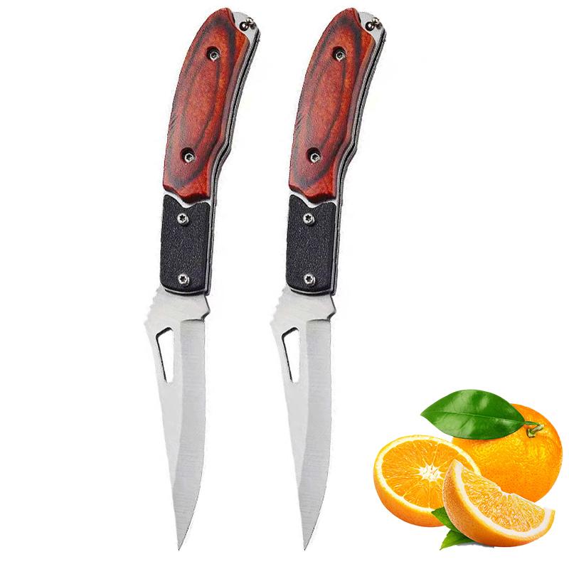 Stainless Steel Pocket Folding Knife Outdoor Fruit Knife with Non Slip Handle Portable Multifunctional Small Camping Knife