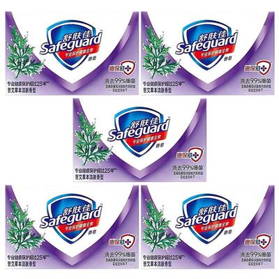 Safeguard Wormwood Herbal Antibacterial Soap Bars (5 X 100g)