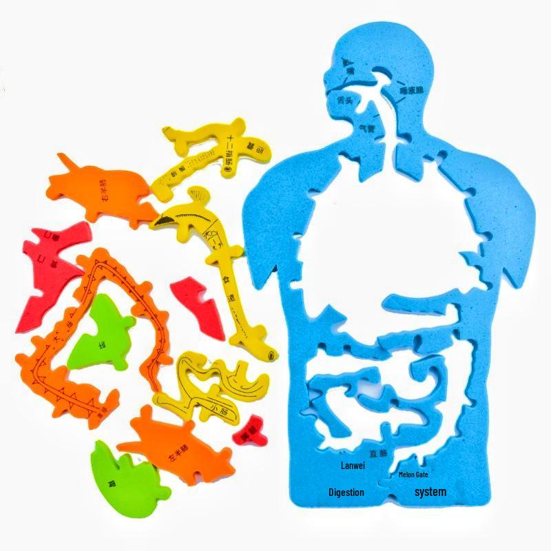 DNA Double Helix Model Kit for Biology Education - DIY Science Toy for Middle & High School Students