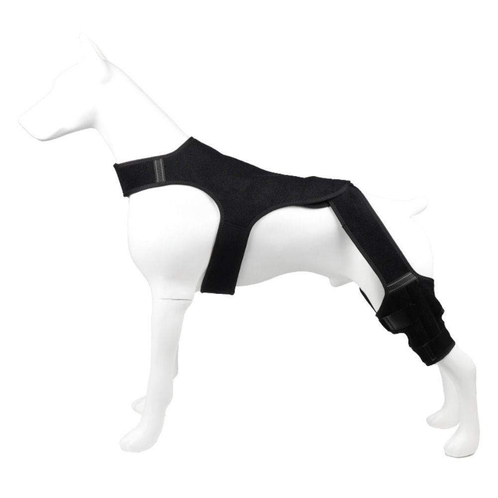 Adjustable Dog Rear Leg Brace Reflective Design Breathable Elbow Protection Cover Anti-Licking with Stabilizers