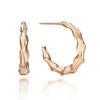 ELLE Jewelry 14K Textured Ring Earrings (Gold Pin) ELGPEE310