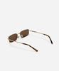 Neotelia Biyani · S-Brown