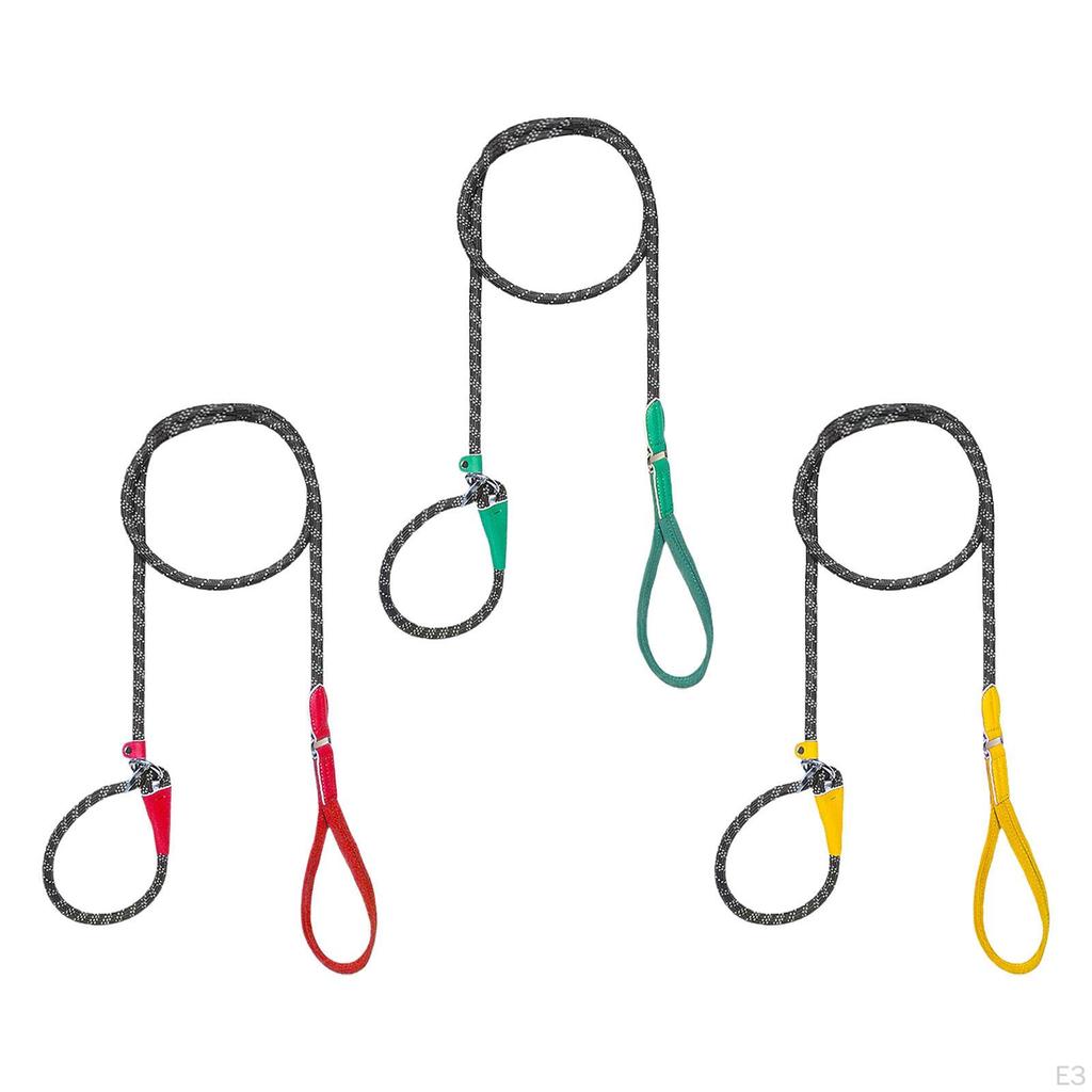 Dog Leash for Active Medium To Large Pets