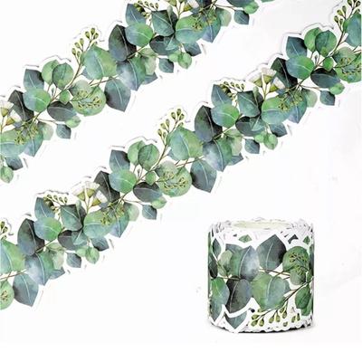 Self-Adhesive Eucalyptus Die-Cut Border Trim 7.6cm*10M Green Leaves  Border Trim  Classroom